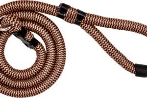 dog leash